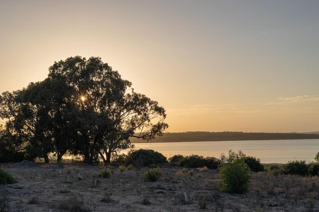 Appartement La Mata Bagian luar foto